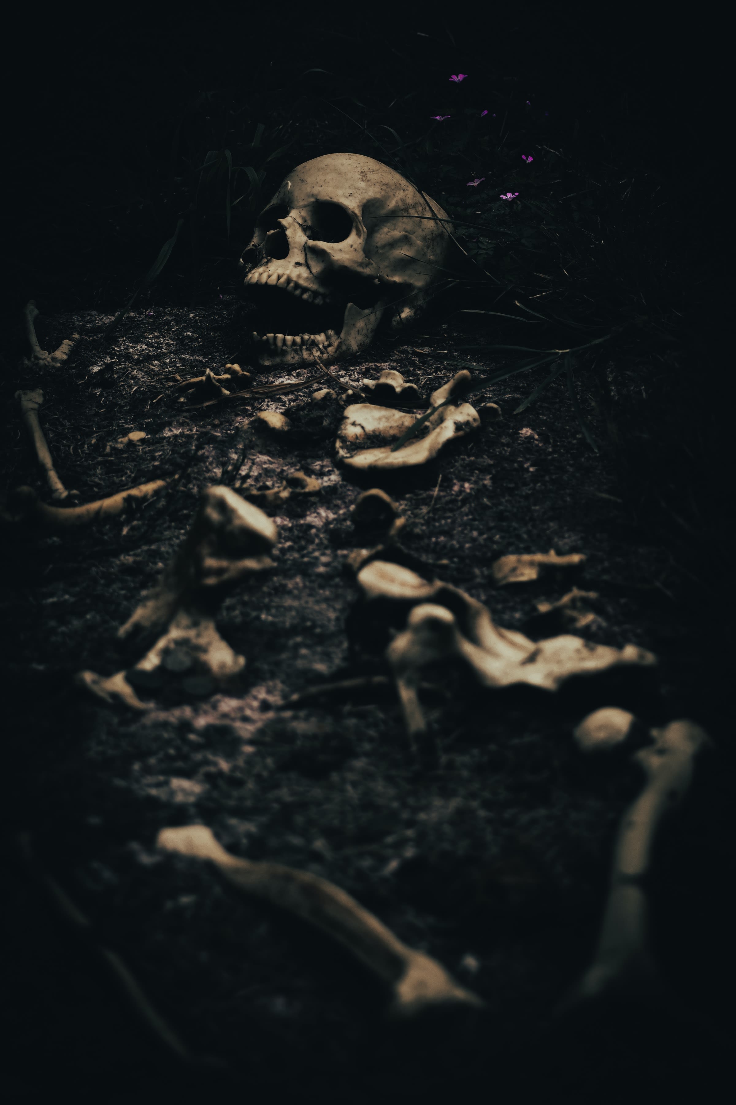 white skull on black surface