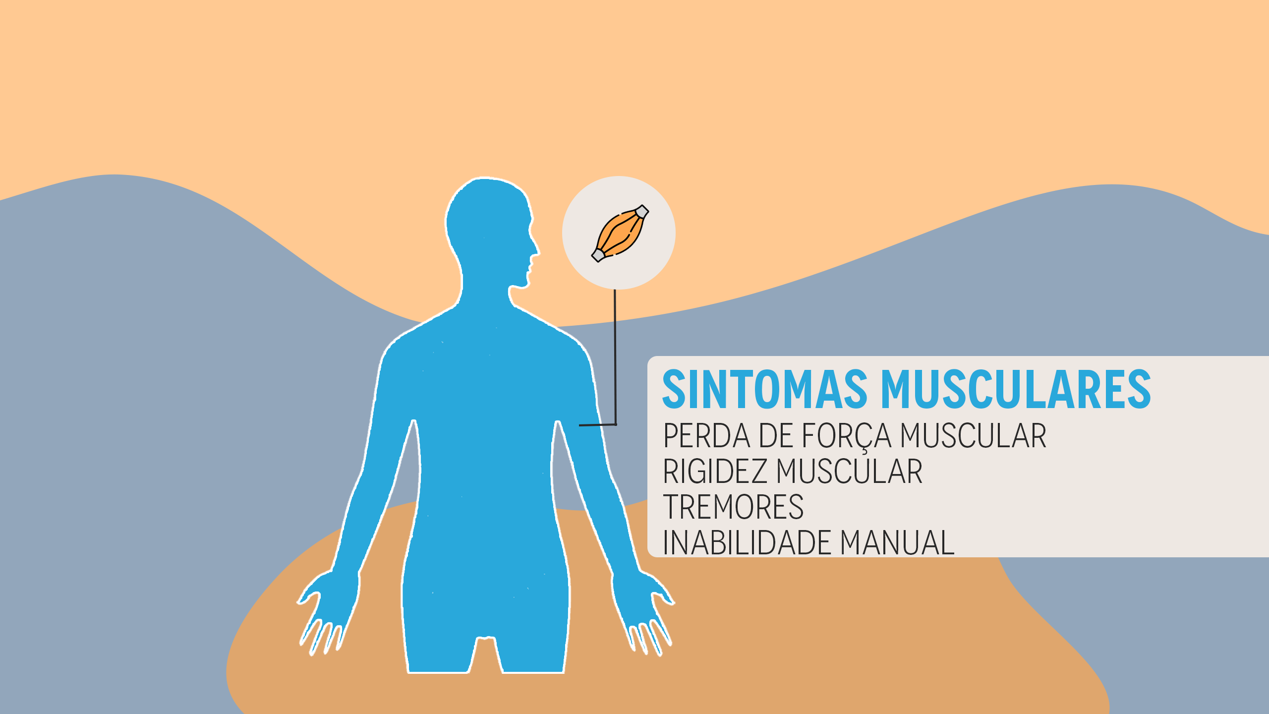 Um infográfico com uma silhueta do corpo humano em azul, uma linha na altura do braço leva até um balão que mostra a figura de um músculo. Ao lado, são listados os sintomas musculares em tópicos: perda de força muscular, rigidez muscular, tremores, inabilidade manual.