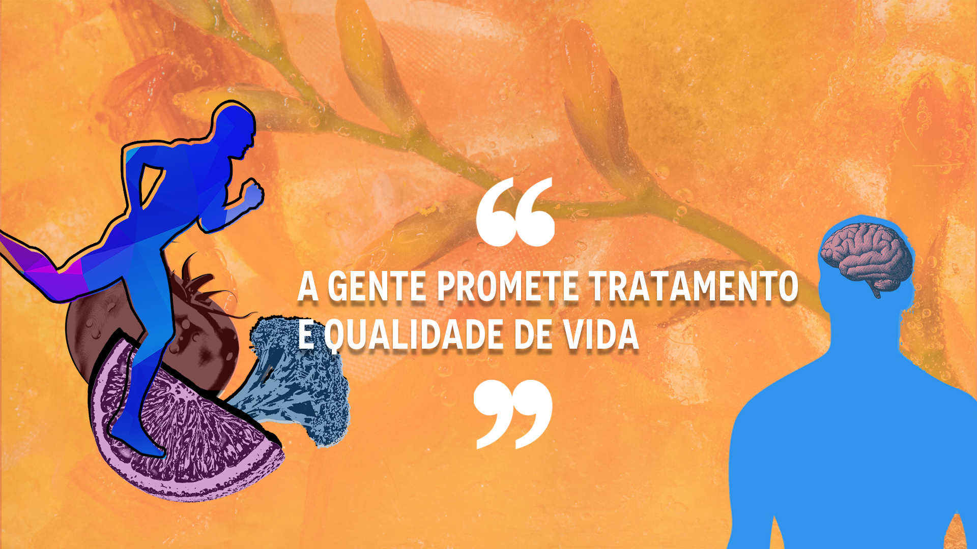 A capa do intertítulo conta com o nome da retranca em seu centro. O título é: "A gente promete tratamento e qualidade de vida". A imagem possui um plano de fundo laranja claro, com efeito "manchado" suave. Acima, uma tulipa ocupando grande parte do espaço superior da capa, em tons de laranja e verde claro, que mesclam-se com a coloração do fundo. No centro da imagem estão aspas em cima e embaixo, com a citação "A gente promete tratamento e qualidade de vida". À esquerda, uma laranja na cor roxo, um tomate vermelho escuro e um brócolis azul, com efeito "fotocópia", se sobrepõe. Acima deles, uma silhueta azul de um corpo correndo. À direita, uma silhueta de corpo humano azul, com um cérebro realístico, com efeito "fotocópia" em sua cabeça.