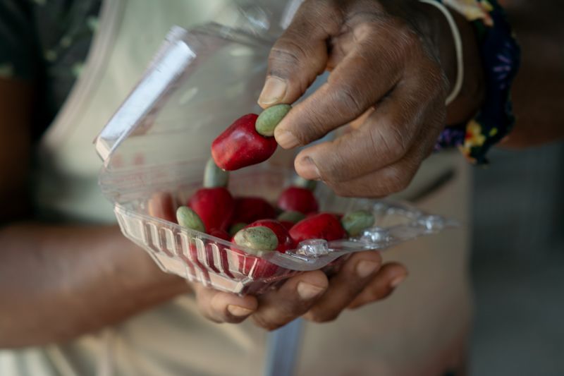 Memória de Vegetais em COQUINHOS