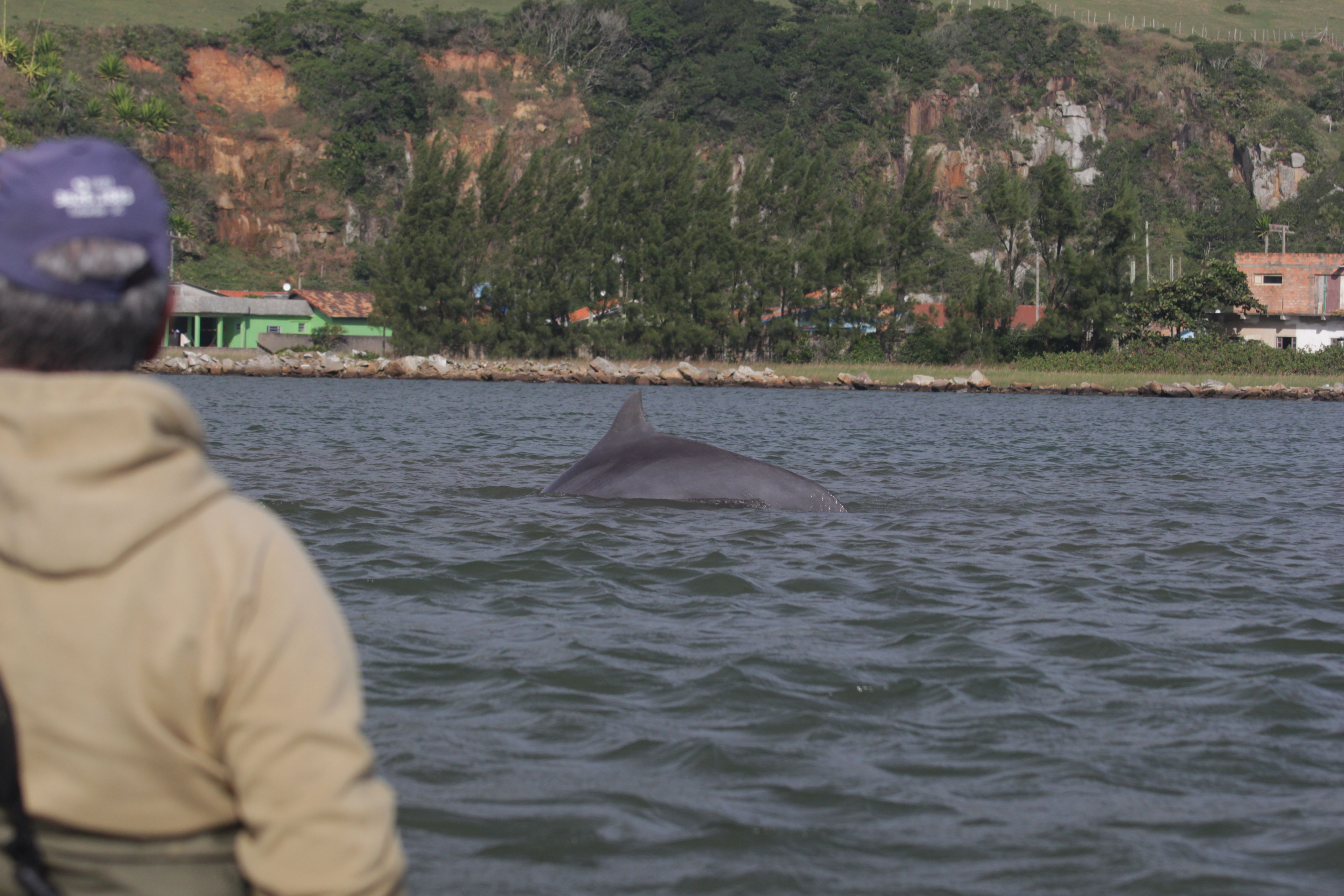 A show poster for Thurston the Great Magician