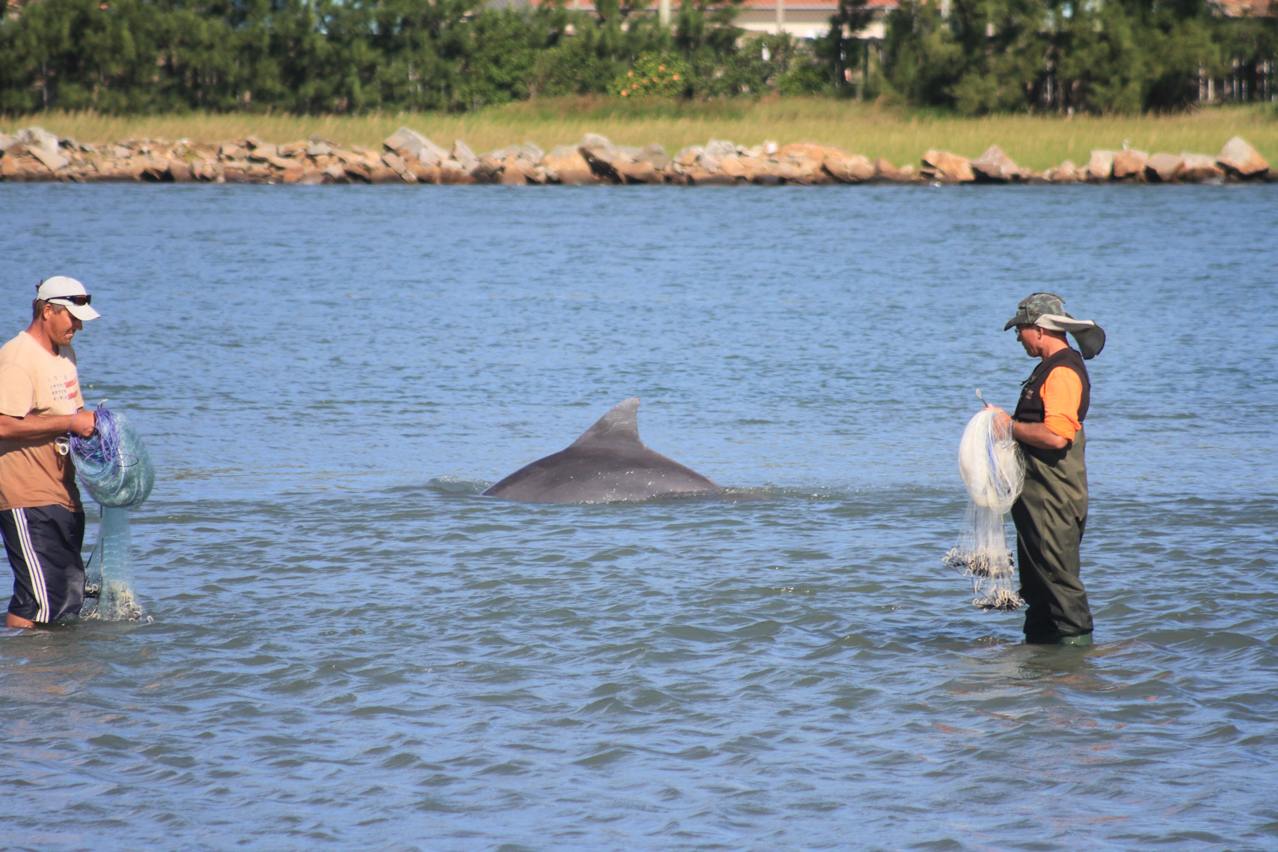 A show poster for Kellar